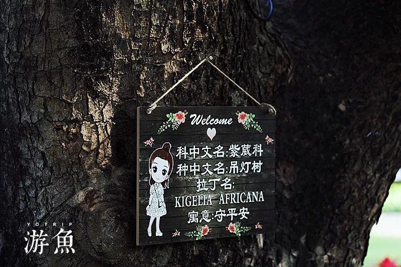 怎样才能让父母不再催婚了?|冷知识分享平台
