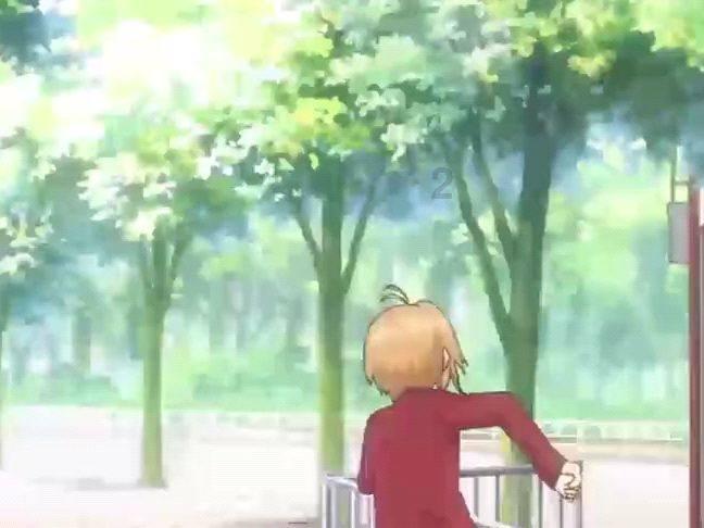 蜜蜂救援